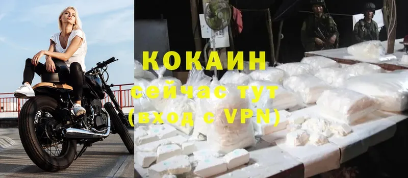 Cocaine FishScale  продажа наркотиков  Соликамск 